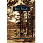 Big Bear - Hardcover