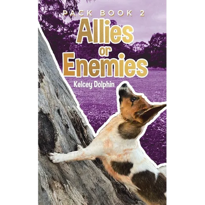 Allies or Enemies - Paperback