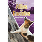 Allies or Enemies - Paperback