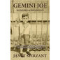 Gemini Joe: Memoirs of Brooklyn - Paperback