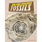 Dig and Discover Fossils - Hardcover