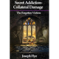 Secret Addition-Collateral Damage: The Forgotten Victims - Paperback