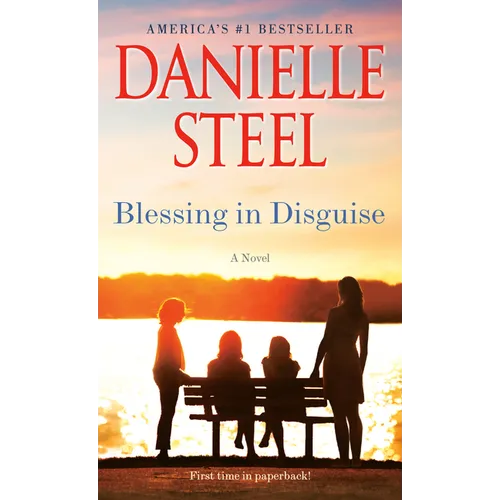 Blessing in Disguise - Paperback