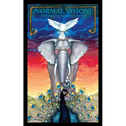 Normal Vision? - Paperback