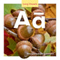 AA - Library Binding