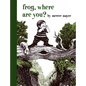 Frog, Where Are You? - Hardcover