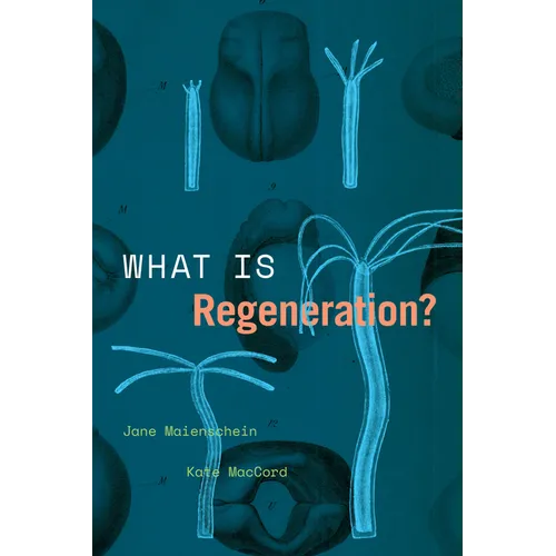 What Is Regeneration? - Paperback
