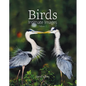 Birds: Intimate Images Volume 2 - Hardcover