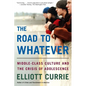 The Road to Whatever: Middle-Class Culture and the Crisis of Adolescence - Paperback