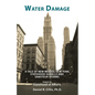 Water Damage: A Tale of New Mexico, New York, Statehood Squalls and Saboteur Storms - Paperback