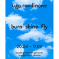 Ugo Rondinone: Burn Shine Fly - Hardcover
