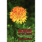 Murder on the Tropic (a Hugh Rennert Mystery) - Paperback