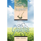 Galatas: ¿Caer de la gracia? - Paperback