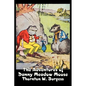 The Adventures of Danny Meadow Mouse by Thornton Burgess, Fiction, Animals, Fantasy & Magic - Hardcover