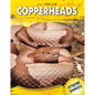 Copperheads - Library Binding