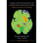 From Conditioning to Conscious Recollection: Memory Systems of the Brain - Paperback