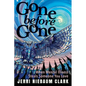 Gone Before Gone: When Mental Illness Steals Someone You Love - Paperback