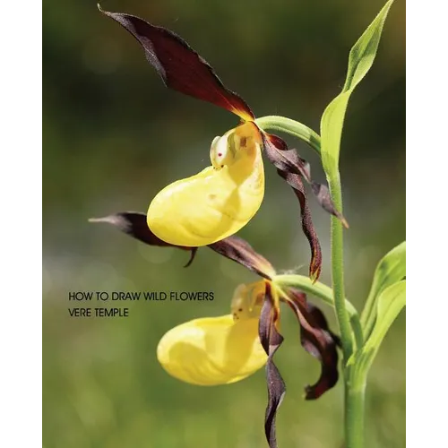 How to Draw Wild Flowers (Replica Edition) - Paperback