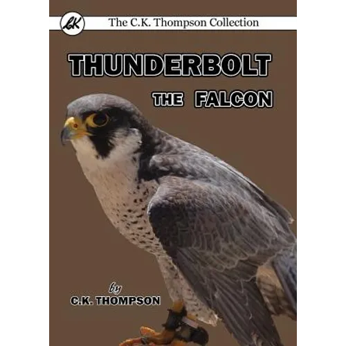 Thunderbolt the Falcon - Paperback