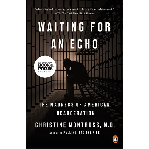 Waiting for an Echo: The Madness of American Incarceration - Paperback
