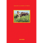 Kim Jong Il Looking at Things - Hardcover
