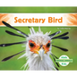 Secretary Bird - Library Binding