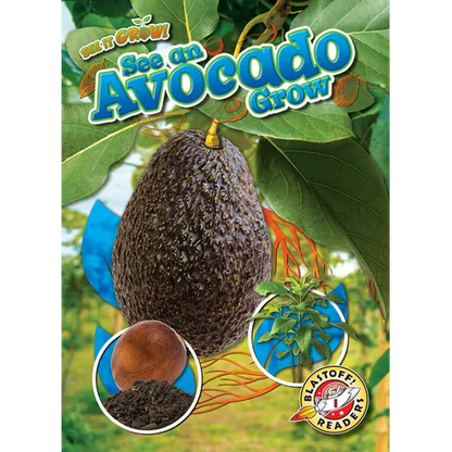 See an Avocado Grow - Library Binding