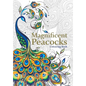 Magnificent Peacocks Colouring Book: Beautiful birds and perfect plumes. Anti-stress colouring - Paperback