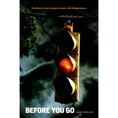 Before You Go - Paperback