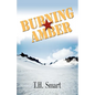 Burning Amber - Paperback