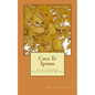 Cura Te Ipsum: An Integrative Psychotherapy Model - Paperback