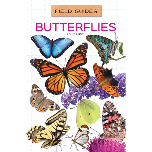 Butterflies - Library Binding