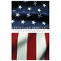 Diminished Democracy: From Membership to Management in American Civic Life - Paperback