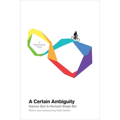 A Certain Ambiguity: A Mathematical Novel - Paperback