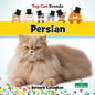Persian - Hardcover