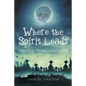 Where the Spirit Leads: Haunting Stories and Poems - Paperback