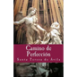 Camino de Perfeccion - Paperback