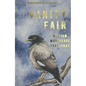 Vanity Fair - Paperback