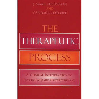 Therapeutic Process: A Clinical Introduction to Psychodynamic Psychotherapy - Paperback
