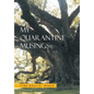 My Quarantine Musings - Hardcover