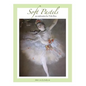 Soft Pastels...an exploration - Paperback