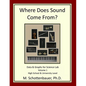 Where Does Sound Come From? Data & Graphs for Science Lab: Volume 1 - Paperback