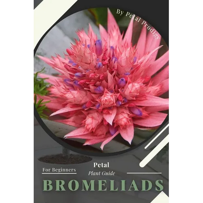 Bromeliads: Prodigy Petal, Plant Guide - Paperback