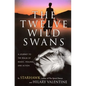 The Twelve Wild Swans: A Journey to the Realm of Magic, Healing, and Action - Paperback