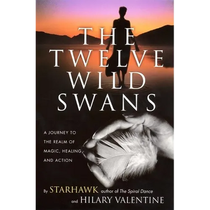 The Twelve Wild Swans: A Journey to the Realm of Magic, Healing, and Action - Paperback