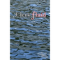 Clerk Fluid - Paperback