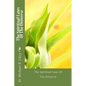 The Spiritual Laws Of The Universe - Paperback