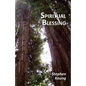 Spiritual Blessing - Paperback