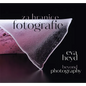 Eva Heyd: Beyond Photography - Hardcover