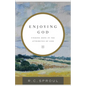 Enjoying God: Finding Hope in the Attributes of God - Paperback